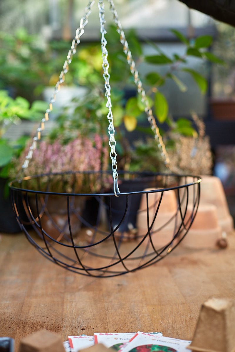 Ampler og Altankasser